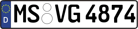 MS-VG4874