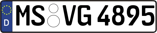 MS-VG4895