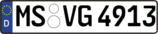 MS-VG4913