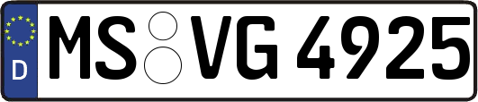 MS-VG4925