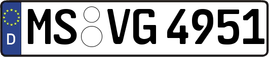 MS-VG4951