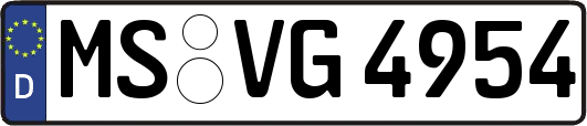 MS-VG4954