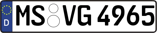 MS-VG4965