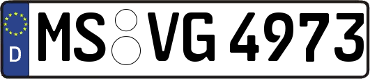 MS-VG4973