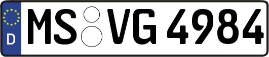MS-VG4984