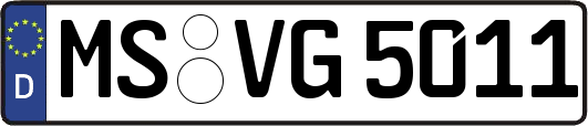 MS-VG5011