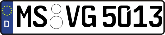 MS-VG5013