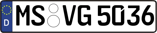 MS-VG5036