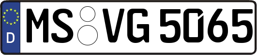 MS-VG5065