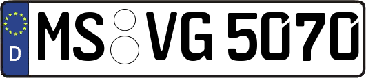 MS-VG5070
