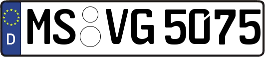 MS-VG5075