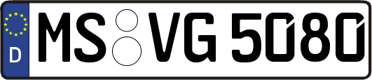 MS-VG5080