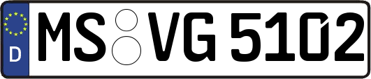 MS-VG5102