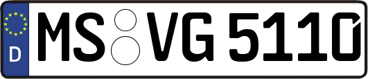 MS-VG5110