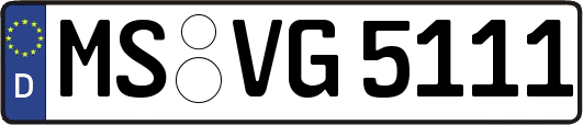 MS-VG5111