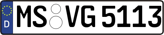 MS-VG5113