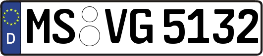 MS-VG5132