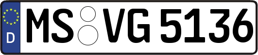 MS-VG5136