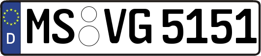 MS-VG5151