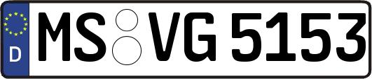 MS-VG5153