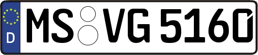 MS-VG5160