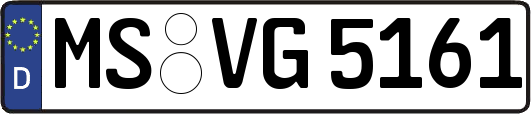 MS-VG5161