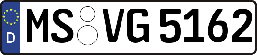 MS-VG5162