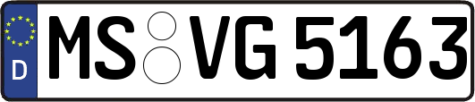 MS-VG5163