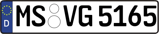 MS-VG5165