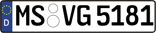 MS-VG5181