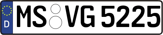 MS-VG5225