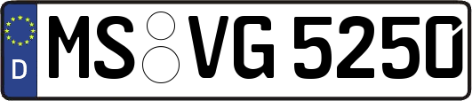 MS-VG5250