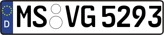 MS-VG5293