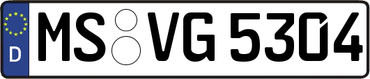 MS-VG5304