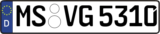 MS-VG5310