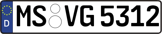 MS-VG5312