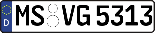 MS-VG5313