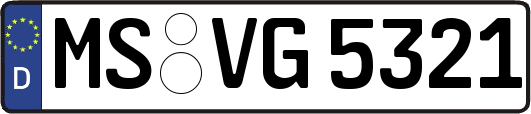 MS-VG5321