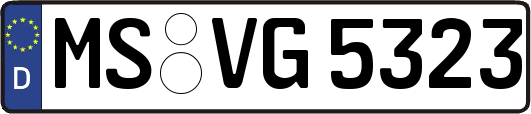 MS-VG5323