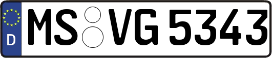 MS-VG5343