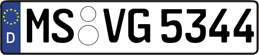 MS-VG5344