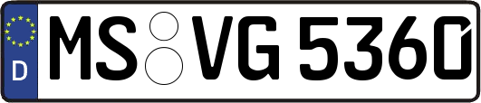 MS-VG5360