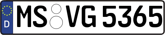 MS-VG5365