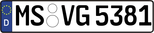 MS-VG5381