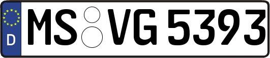MS-VG5393
