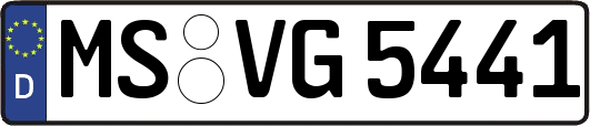 MS-VG5441