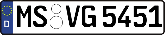 MS-VG5451