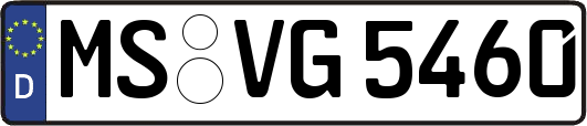 MS-VG5460