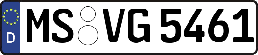 MS-VG5461