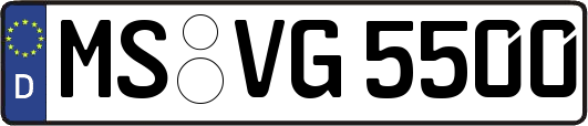 MS-VG5500